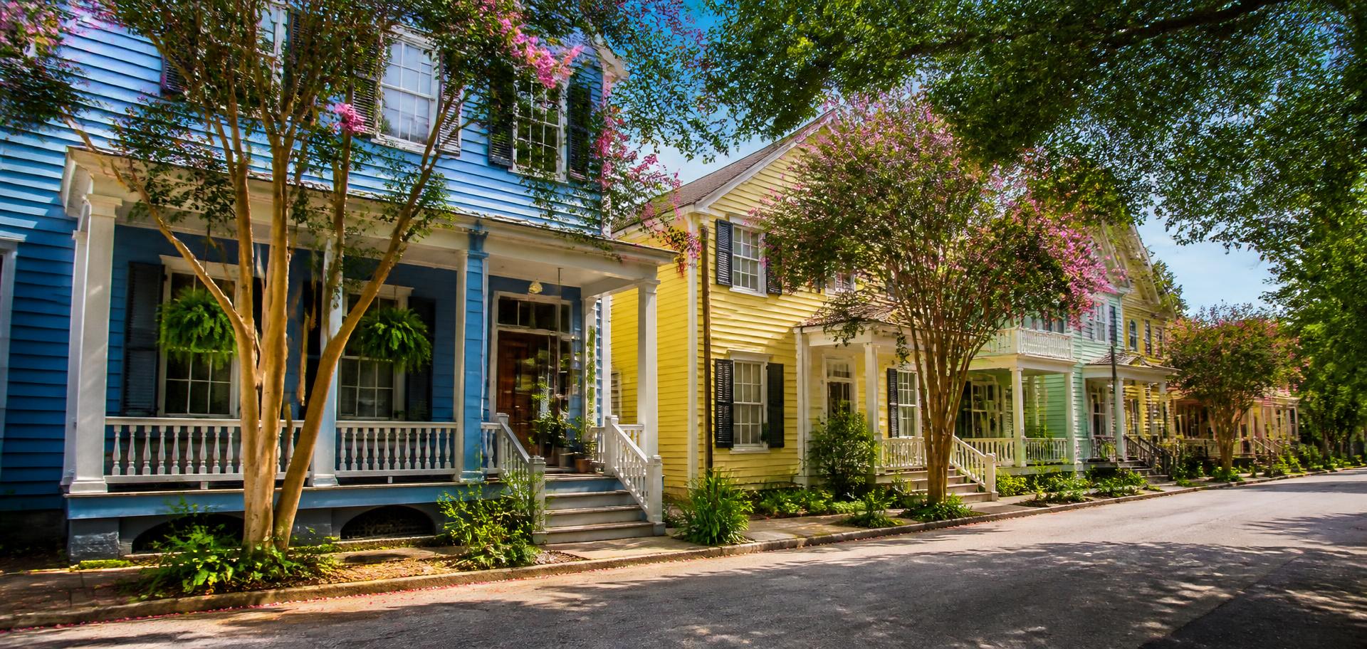 Sunlit street of colorful rental houses with blooming trees